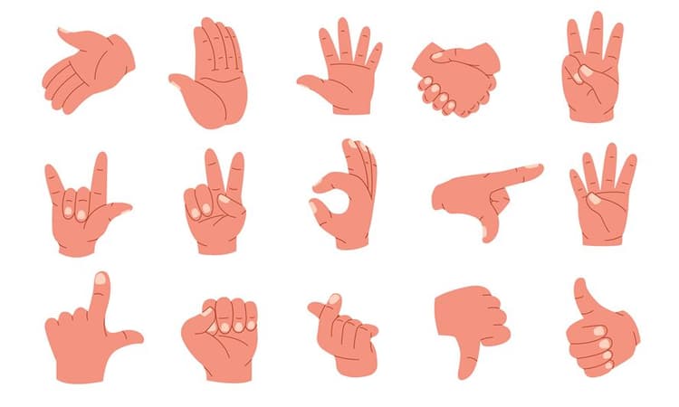 Hand Gesture Recognition